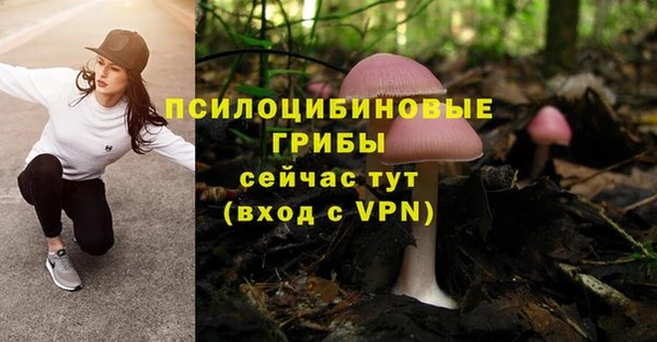 марихуана Белокуриха