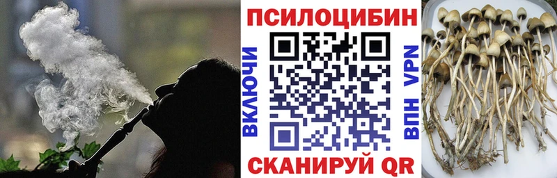 Псилоцибиновые грибы MAGIC MUSHROOMS  hydra онион  Волосово  где купить  